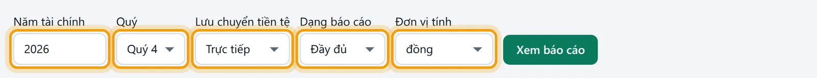 Các ô Năm tài chính, Quý, Lưu chuyển tiền tệ, Dạng báo cáo, Đơn vị tính được viền vàng
